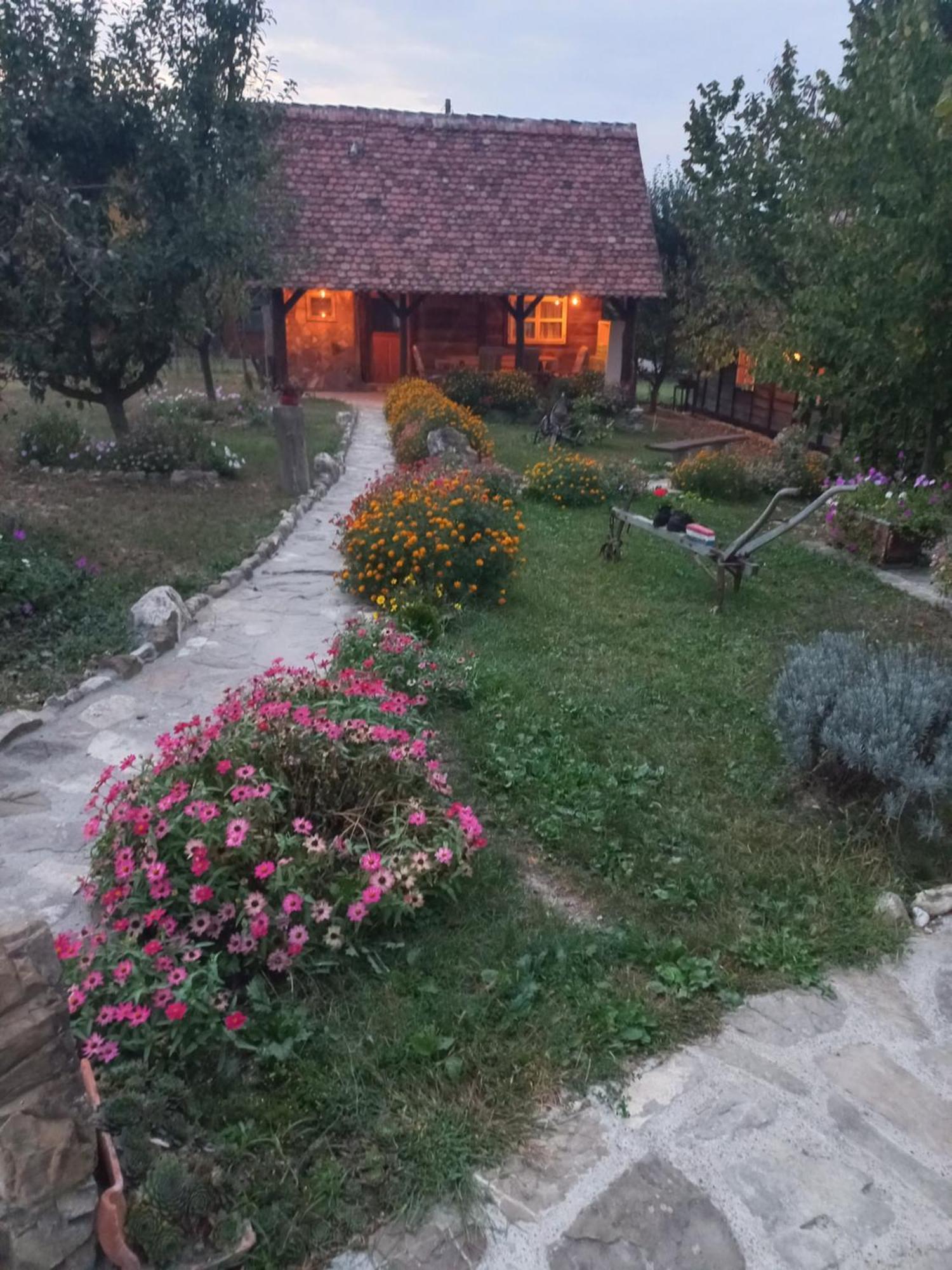 Willa Magaze De Luxe Gradacac Zewnętrze zdjęcie